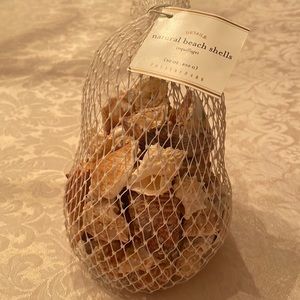 Pottery Barn Natural Beach Shells, New